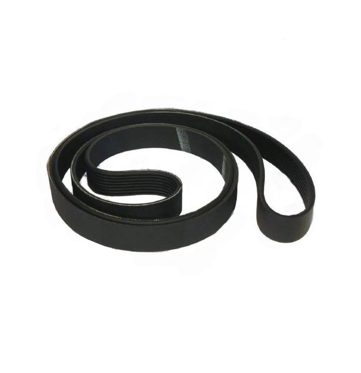 DAF V-Ribbed Belt