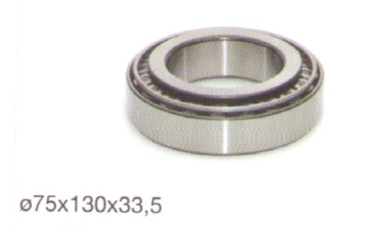 Diferansiyel Beyin Rulmanı Arocs Mercedes