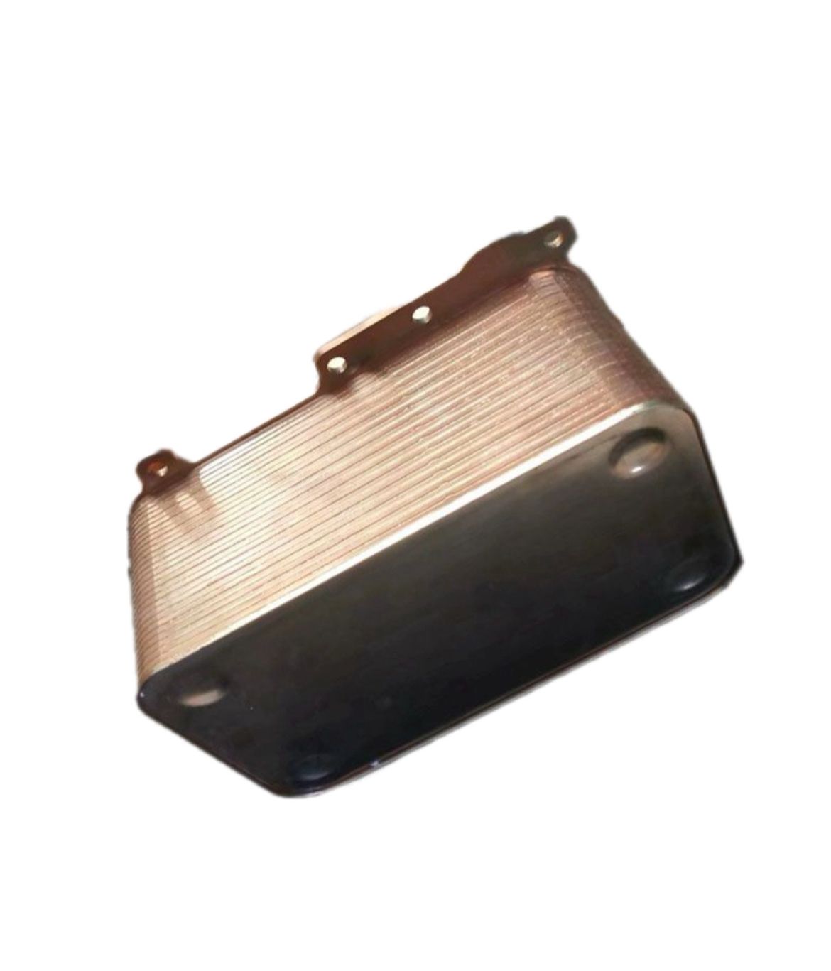 Engine Oil Cooler DAF