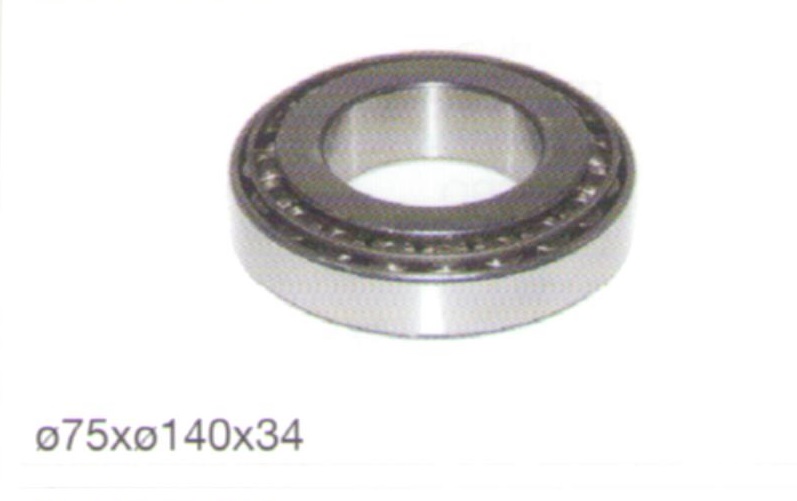 Prizdirek Büyük Rulman Arocs Mercedes