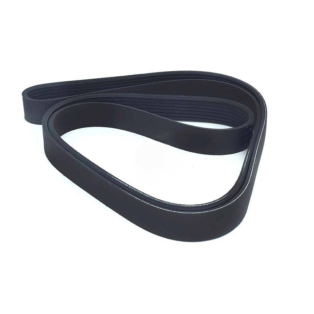 DAF V-Ribbed Belt
