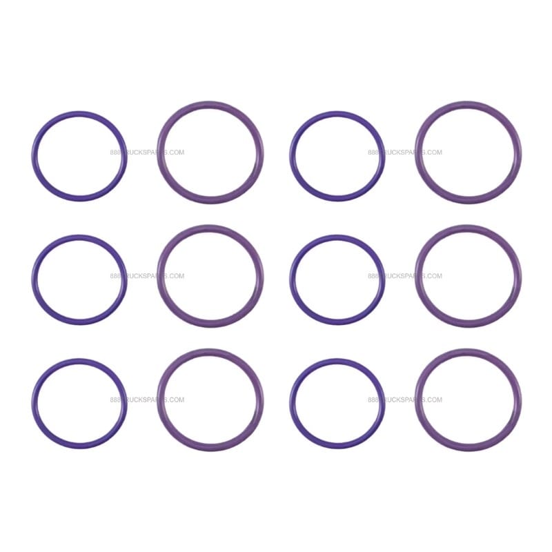 Enjektör Oring Seti DAF