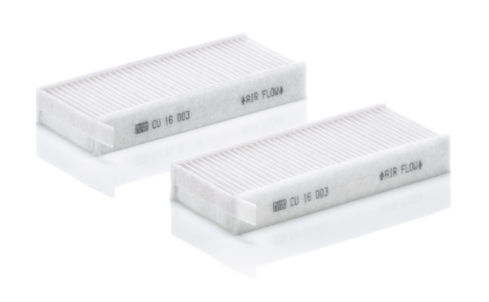 DAF Pollen Filter