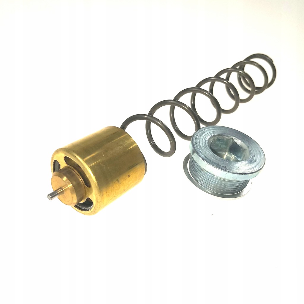 DAF Oil Thermostat