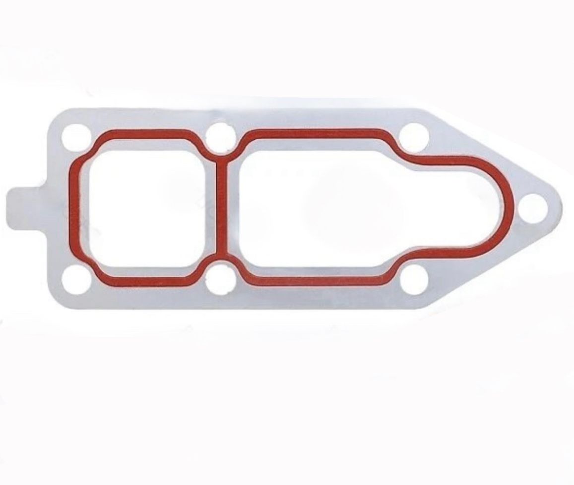 DAF Water Pump Gasket