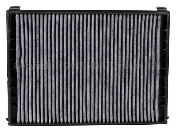 DAF Pollen Filter