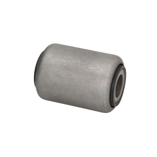 DAF Spring Bushing