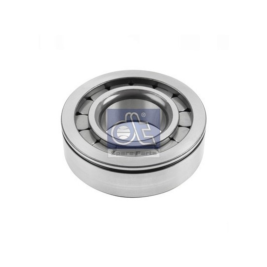 Diferansiyel Rulmanı DAF