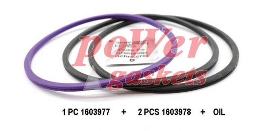 Motor Gömlek Lastiği DAF