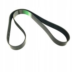 DAF V-Ribbed Belt