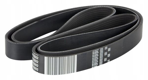 DAF V-Ribbed Belt