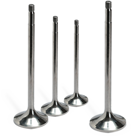 Egzoz Supap Takımı DAF